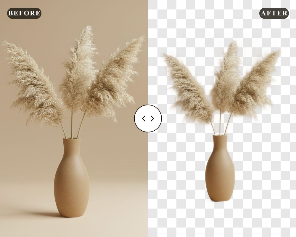 Transparent Background